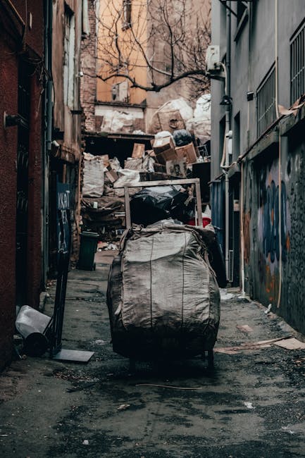 Last minute rubbish removal Marylebone same day options